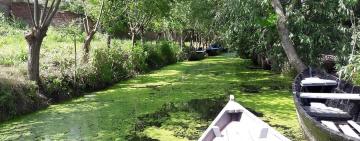 Как журналисты помогли жителям Вилково не утонуть в нечистотах